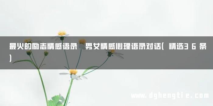 最火的励志情感语录 男女情感心理语录对话（精选36条）